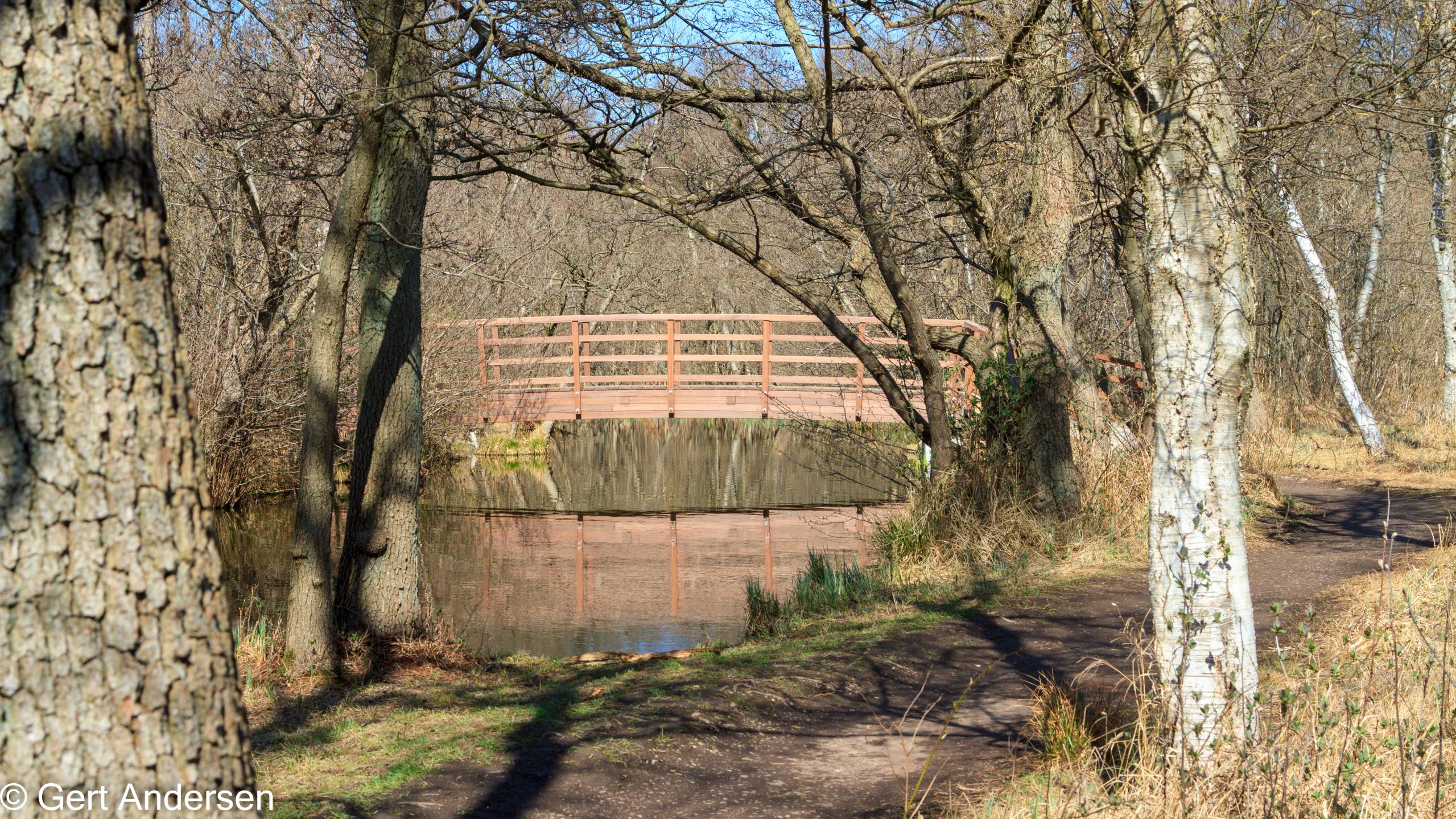 Lyngby Sø (23 of 37) compressed